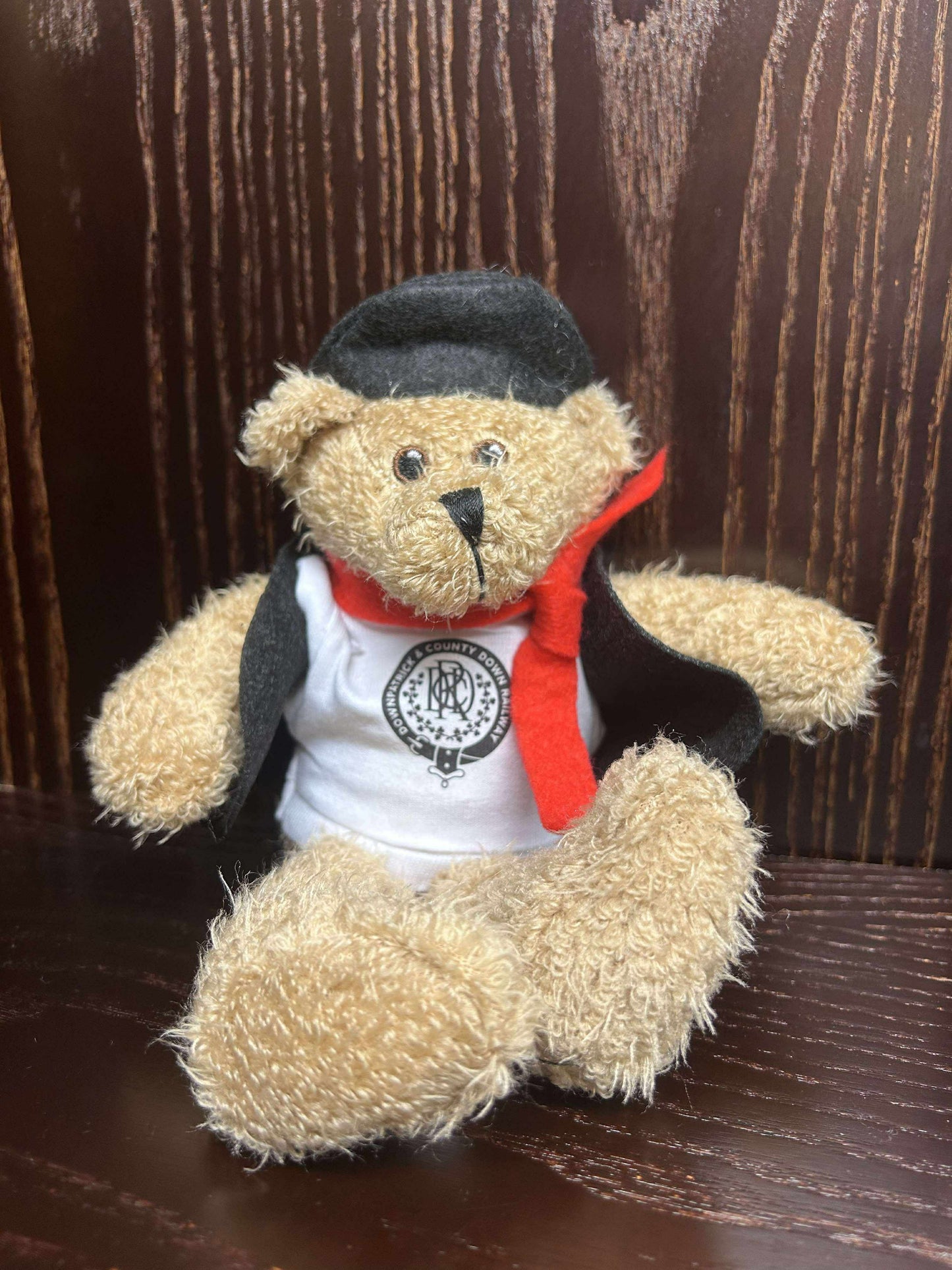 DCDR Teddy Bear