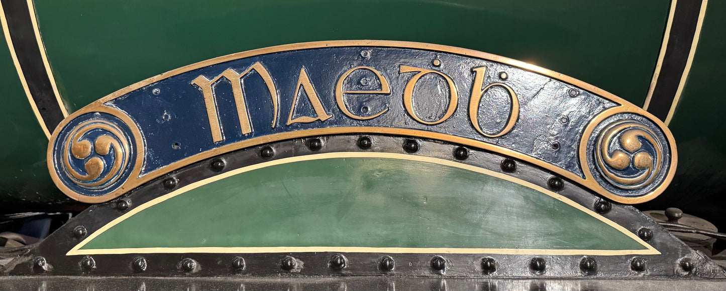 800 Class Celtic Badge